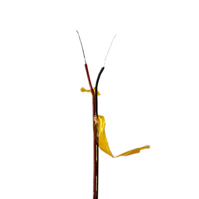 Good price Dingzun Thermocouple Kapton Insulation Polyimide Jacket Type K Wire online