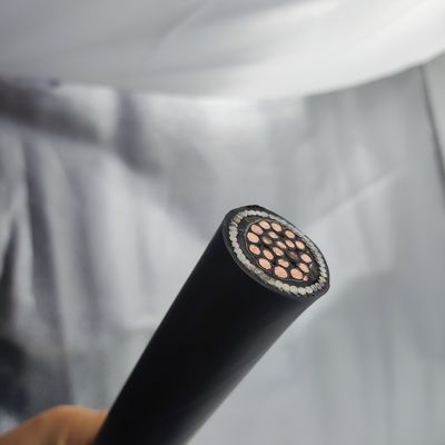 Good price Instrumentation Cable 300/500V 20Cores CU/MGT/XLPE/OS/FR/LSZH/GSWA/LSZH 20х2,5 online