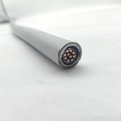 Good price Instrumentation Cable 300/500V CU/MGT/XLPE/OS/FR/LSZH/GSWA/LSZH 10х1 online